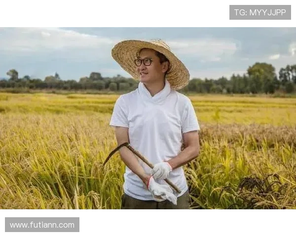 南京排球队崛起之路：从默默无闻到邀请赛的璀璨明星